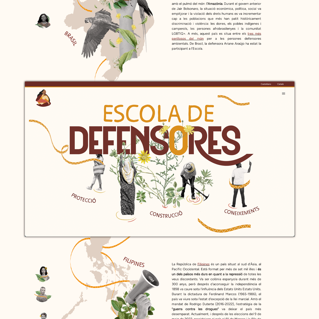 Desarrollo web escola de defensores